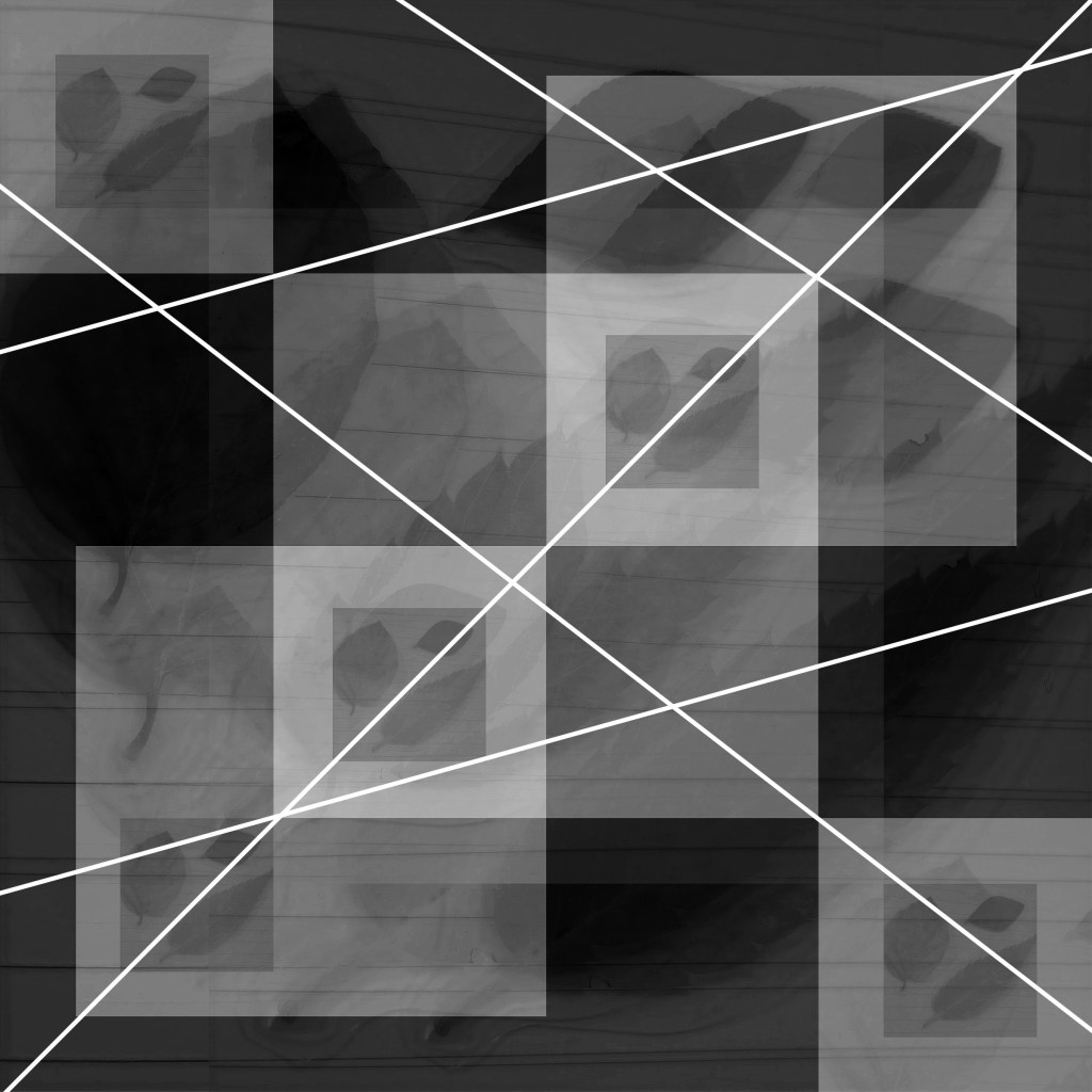 Negative Capability